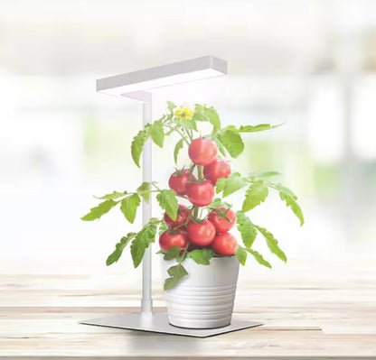 17 in. 14-Watt Vegetation Seeding Flowering White Integrated LED Indoor Table Top Plant Grow Light Fixture Daylight